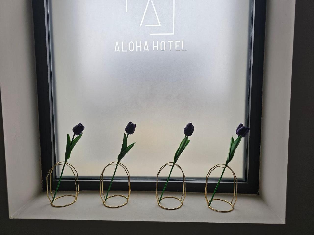 Hotel Aloha Nis Room photo